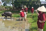 Hoi An Vegetable Farming life Experience Tour