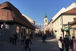 Countryside: Szentendre - Arts and Cafes (Half-Day Private Tour)