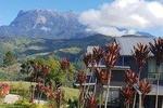 Kinabalu National Park with hot spring & canopy walk tour