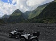 The Wild South - Quad Rental