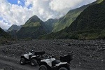 The Wild South - Quad Rental