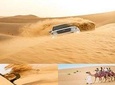 Dubai Morning Desert Safari: Sandboarding & Camel Trekking