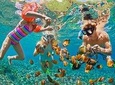 Snorkel & Kayak