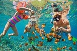 Snorkel & Kayak