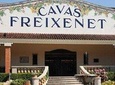 Private Tour of the Wine and Cheese route from Mexico City