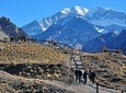 Aconcagua Experience - Mendoza
