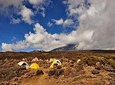 Kilimanjaro Day Hike - Shira Route