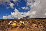 Kilimanjaro Day Hike - Shira Route