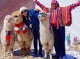 Rainbow Mountain Tour In Cusco