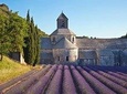 Provence Tour
