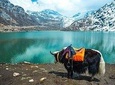 Group Tour North Sikkim 6 Days