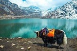 Group Tour North Sikkim 6 Days