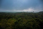 Tikal VIP Private Sunrise Tour all-inclusive