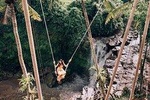 Amazing Seightseeing Tegalalang Rice Terrace, Ubud Tour
