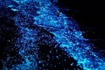 Bioluminescent Plankton Ao Nang Krabi (UPDATED JULY 2020 for New Normal)
