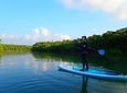 [Ishigaki]SUP/Canoe tour at Natural-Monument-Mangrove-Forest in Ishigaki Island