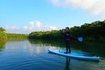 [Ishigaki]SUP/Canoe tour at Natural-Monument-Mangrove-Forest in Ishigaki Island