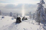 Two hours Snowmobile Safari Driving into Lappish Forests