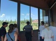 Private wine tour - 2 beautiful wineries and lunch in the heart of Bolgheri