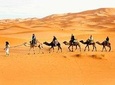 Desert Safari with Bab AL Shams Dinner with 45 Minutes of Dune Bashing