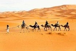 Desert Safari with Bab AL Shams Dinner with 45 Minutes of Dune Bashing