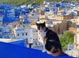 Full-day trip Akchour waterfalls and Chefchaouen