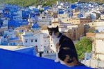 Full-day trip Akchour waterfalls and Chefchaouen