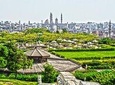 Private Tour to El Moez St. and Al Azhar Park with Dinner 