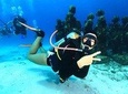 Experience Diving Under Water Museum and Reef for beginners