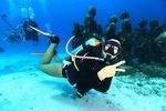 Experience Diving Under Water Museum and Reef for beginners