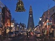 Magic Christmas Tour in Reykjavik