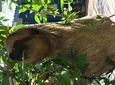 wildlife adventure & beach