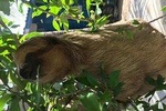 wildlife adventure & beach