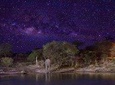 Stargazing on The Wilderness (Harare Night's Tour)