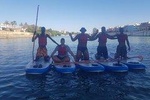 Paddle Surf Rental