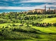 LOVE TUSCANY TOUR: Pienza, Montalcino and Tuscan Countryside