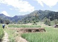 North of Bandung all the way to Subang trial