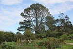 Hobbiton Movie Set Tour & Waitomo Glowworm Cave Experience