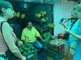 Fruit exotic tour