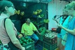 Fruit exotic tour