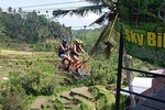 Ubud Sky Bike, Swing And Rafting With Lunch. 