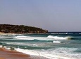 Half day Manly Beach and more