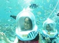 Bali Sea Walker Including Hotel Transfer