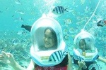 Bali Sea Walker Including Hotel Transfer