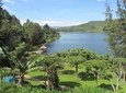 3 days gorilla trekking Bwindi and Lake Bunyonyi safari