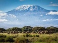 7 Days Mount Kilimanjaro Rongai Route