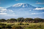 7 Days Mount Kilimanjaro Rongai Route