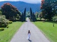 Bali Instagramable Tour : Handara Gate-Wanagiri Hidden Hills-Banyumala Waterfall