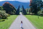 Bali Instagramable Tour : Handara Gate-Wanagiri Hidden Hills-Banyumala Waterfall