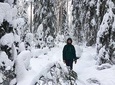 Winter wonderland hike in a national park